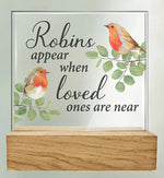 Glass Plaque, Robins