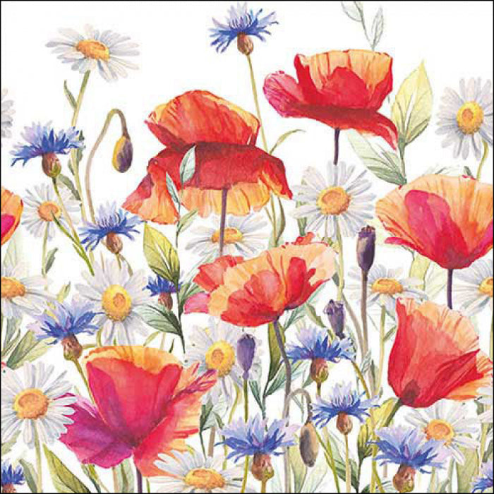 Poppies and Cornflowers Napkins - 2 Sizes