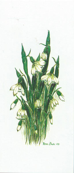 Snowdrop Greeting Card - Slim