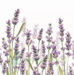 Small Napkins – Lavender White