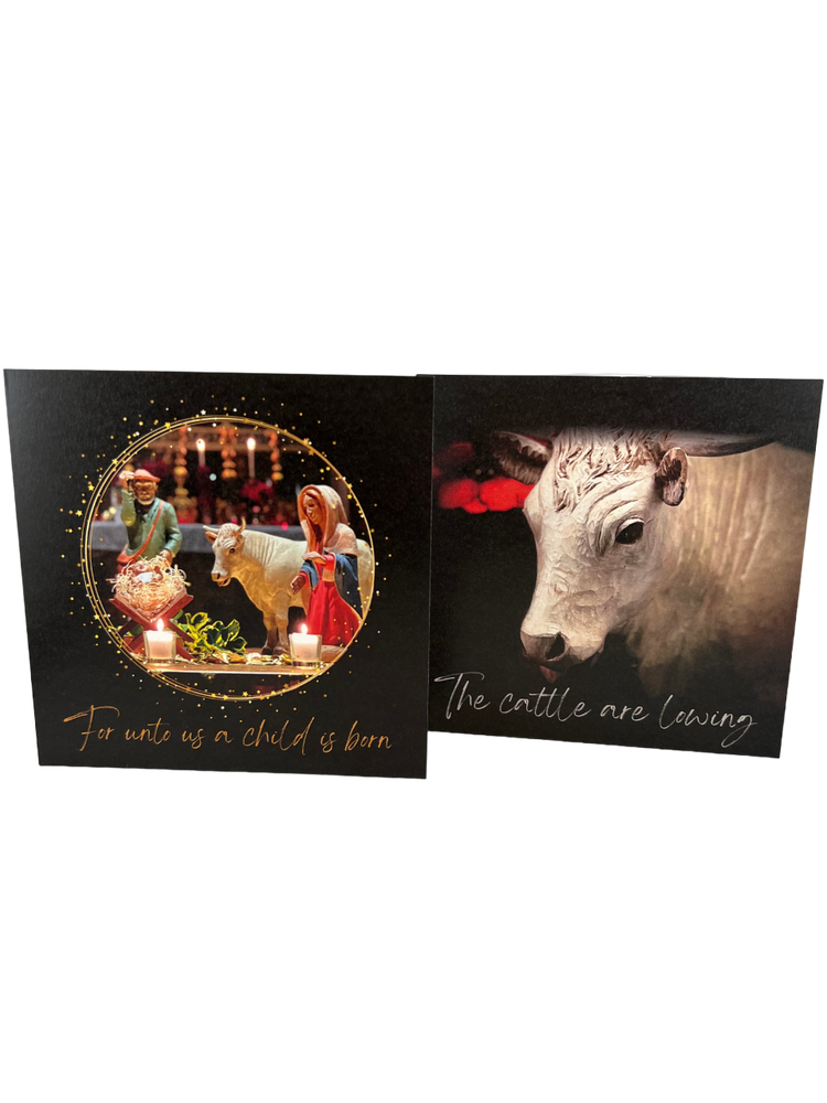 Christmas Cards – The Shrine Nativity