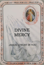 Divine Mercy Prayer Card | Rosaries &amp; Prayer Cards | The Shrine Shop