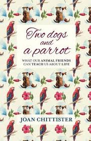 Two Dogs and a Parrot | Books, Bibles &amp; CDs | The Shrine Shop